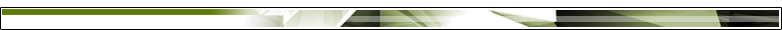 footer